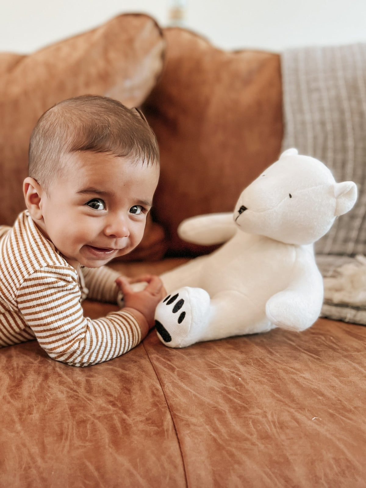 Animal Toys