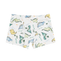 Boxer Briefs – Toddler Dino