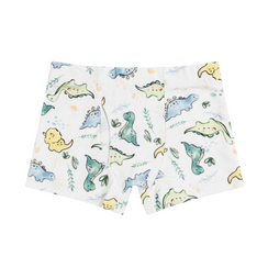 Boxer Briefs – Toddler Dino