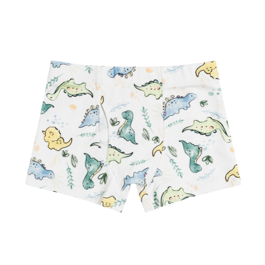 Boxer Briefs – Toddler Dino