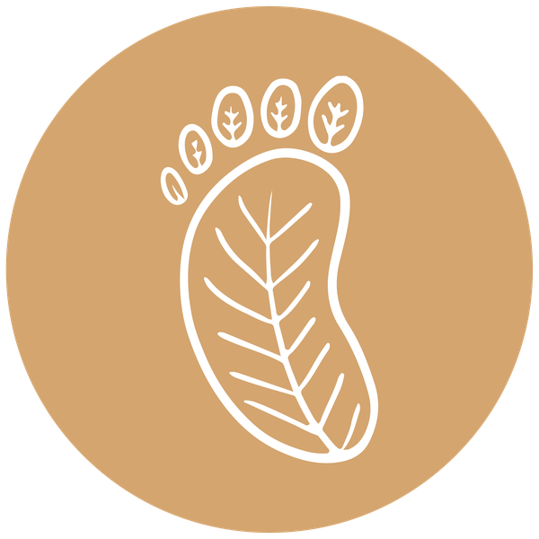 icon green promise