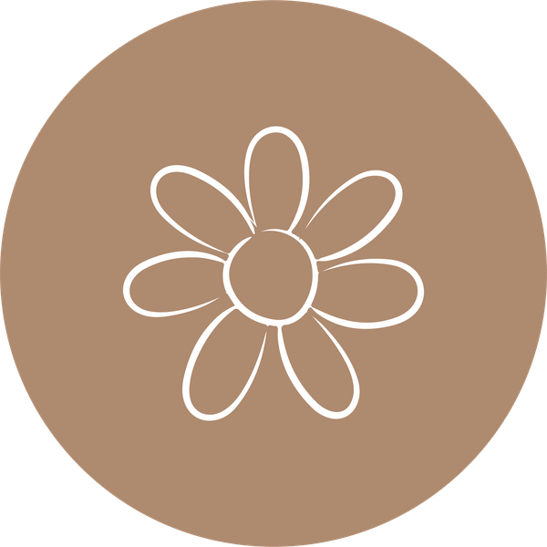 icon spring