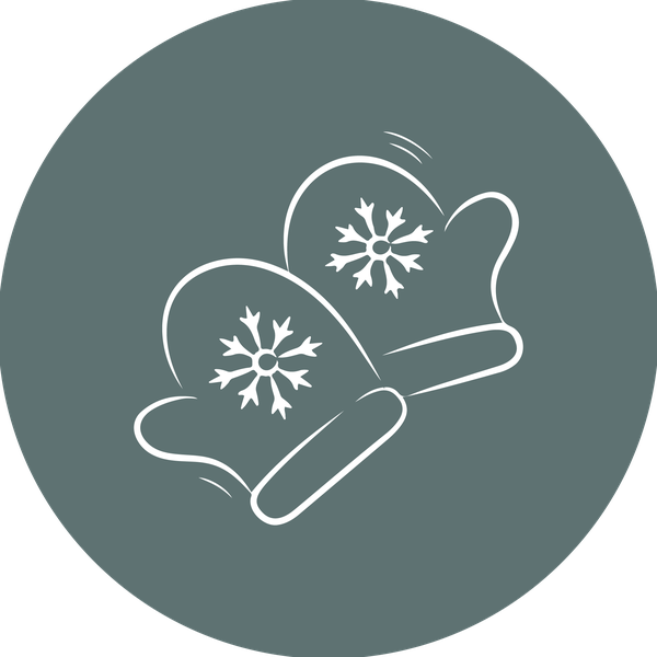 icon winter
